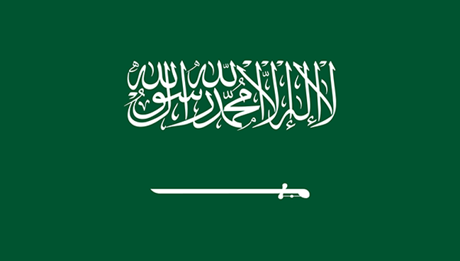 サウジアラビアが機器の型式承認手続きを更新